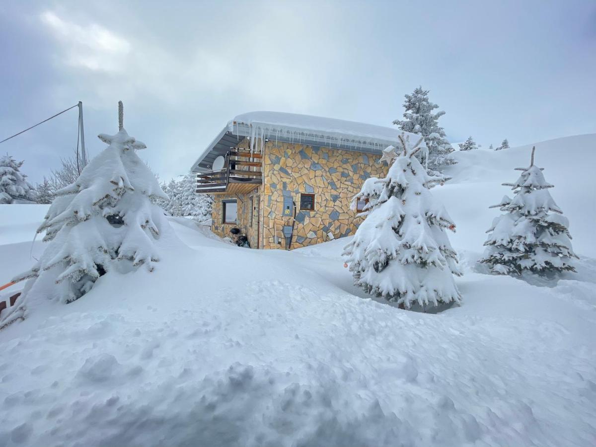Villa 80 Kodra E Diellit 泰托沃 外观 照片