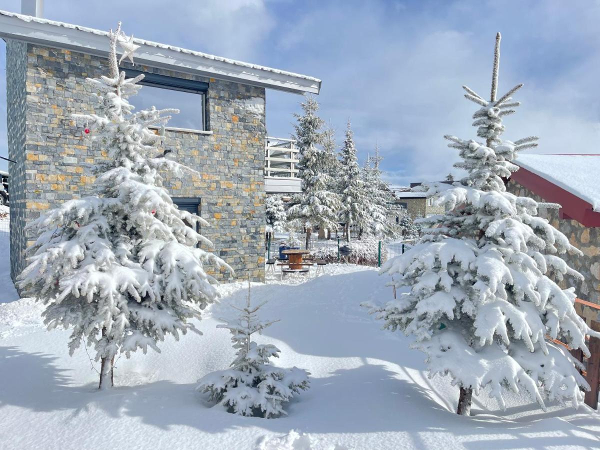 Villa 80 Kodra E Diellit 泰托沃 外观 照片